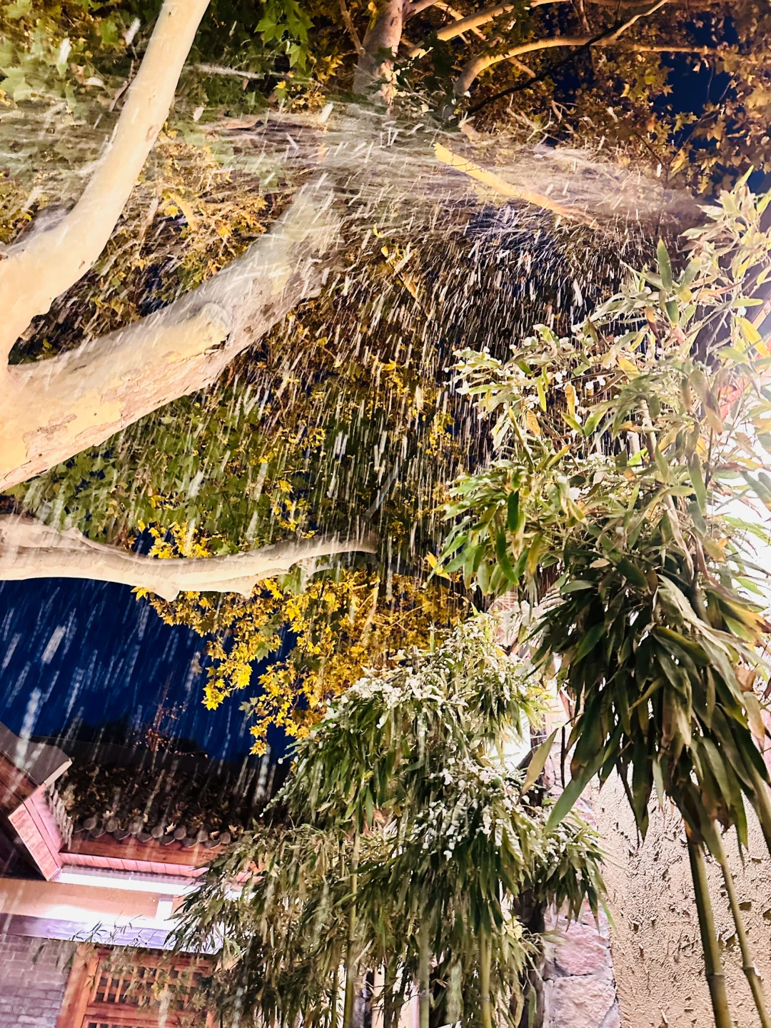 邯郸“下雪了”❄️12月1日实景温馨提示🌟