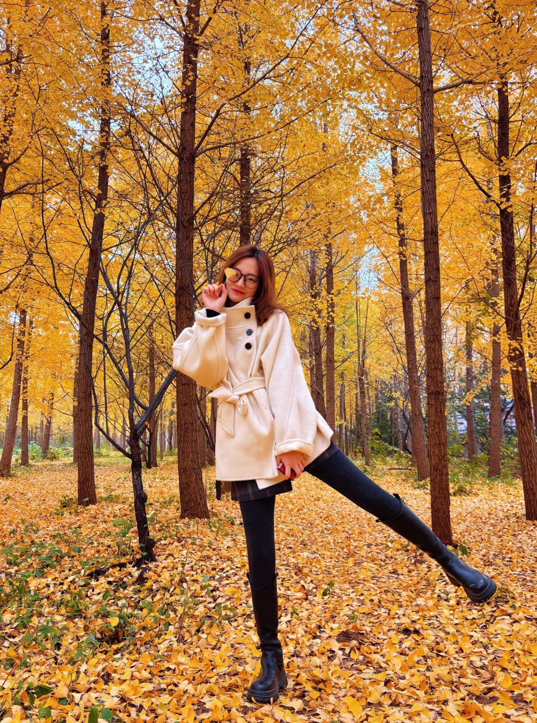 不要再去丛台公园银杏林人挤人了