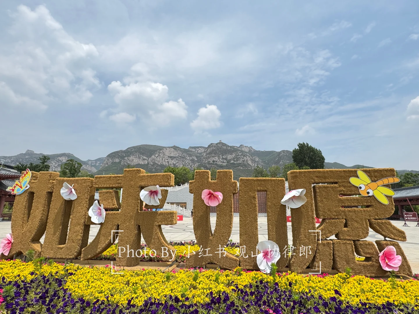 早知道就洗个头再来响堂山石窟了