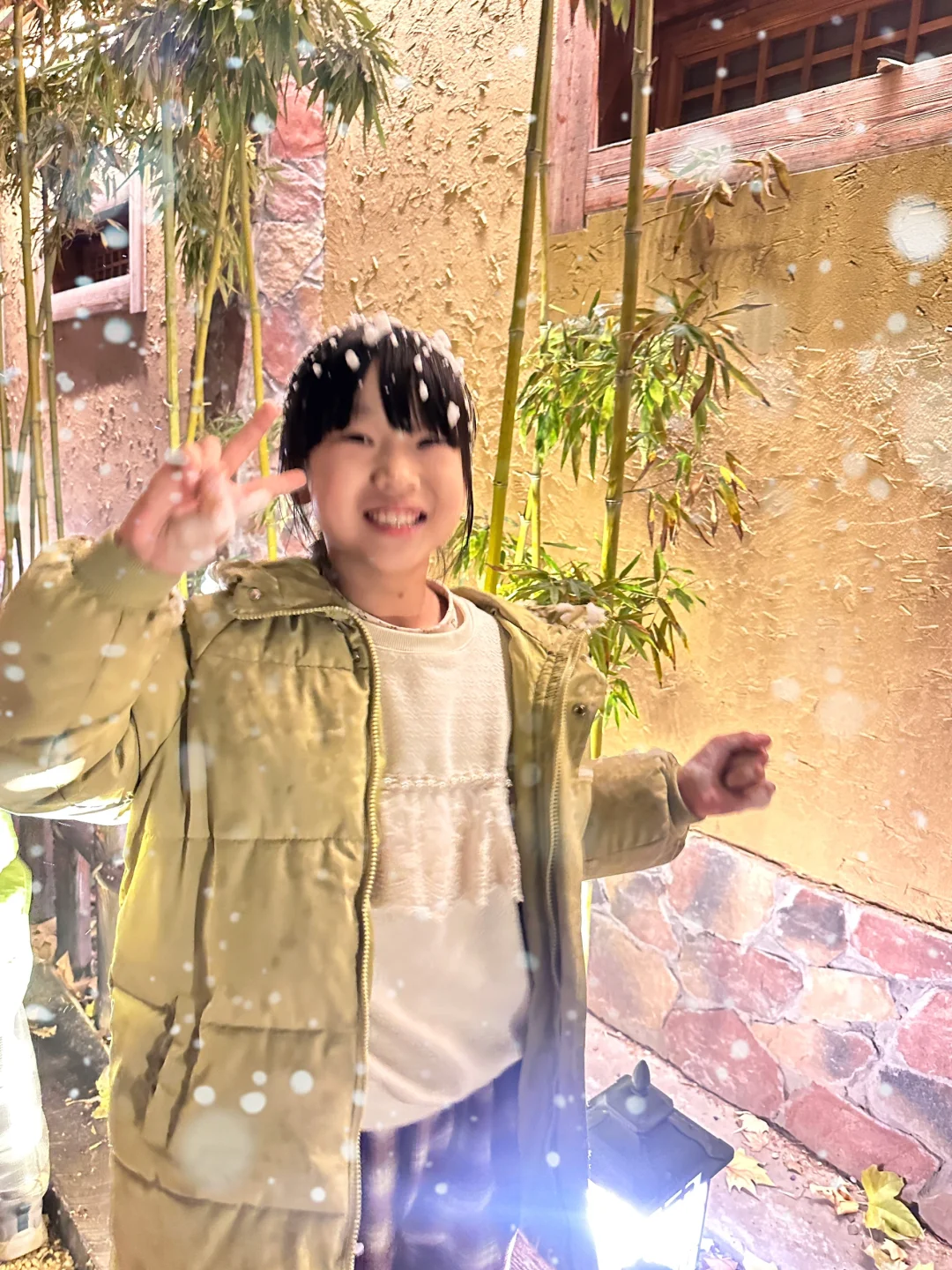 邯郸“下雪了”❄️12月1日实景温馨提示🌟