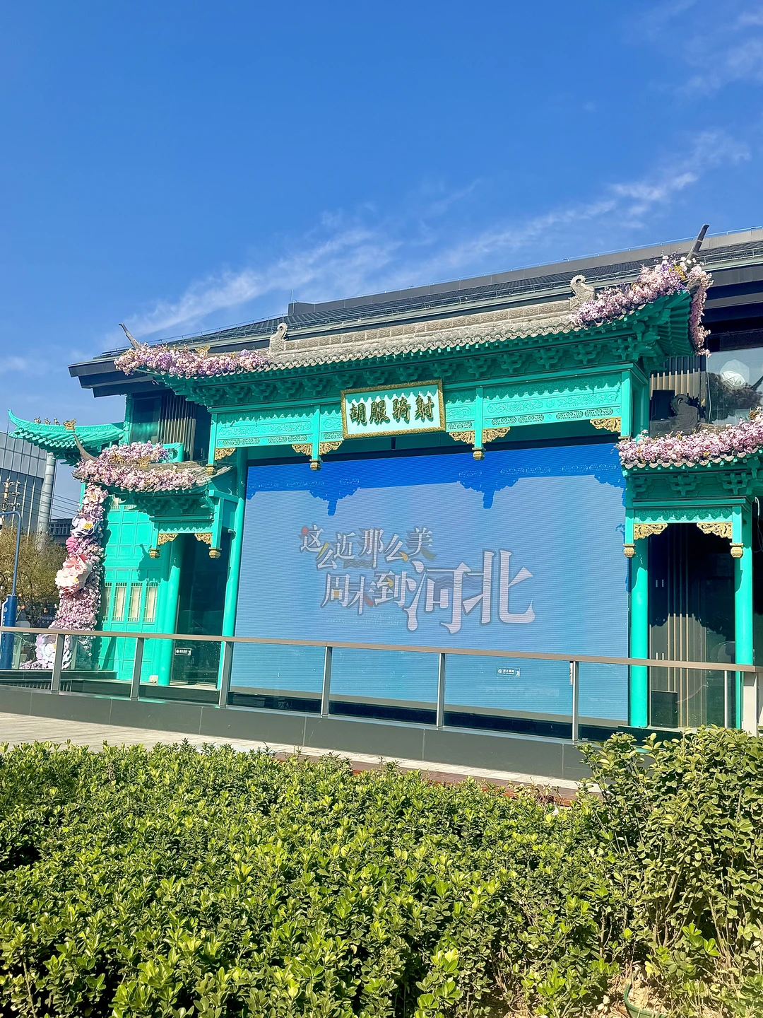 邯郸道📍翡翠楼&黄金楼