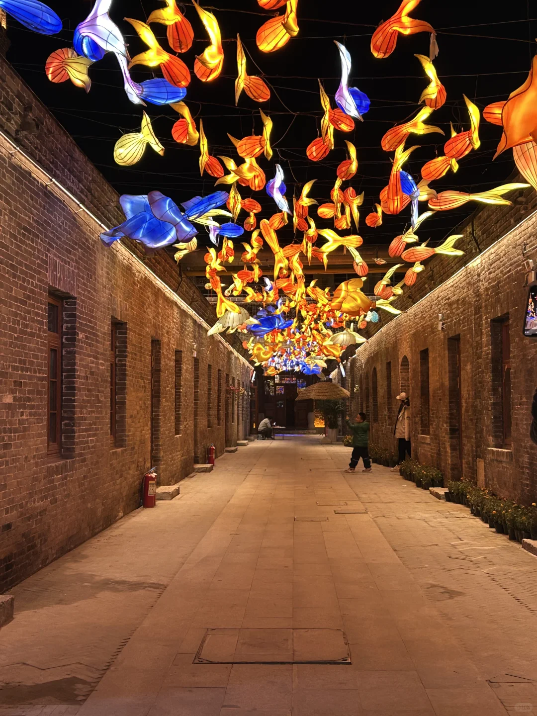 邢台初雪 下雪了❄️