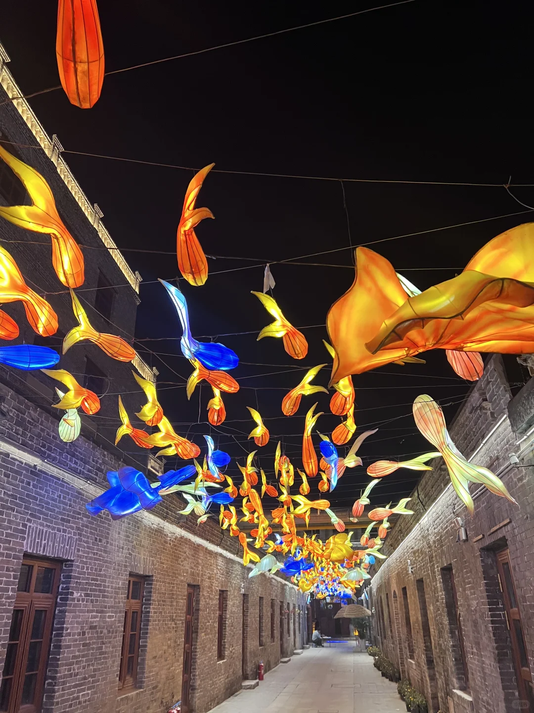 邢台初雪 下雪了❄️