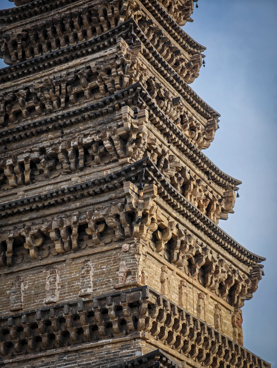 北宋普利寺塔的“佛头清零行动 ”