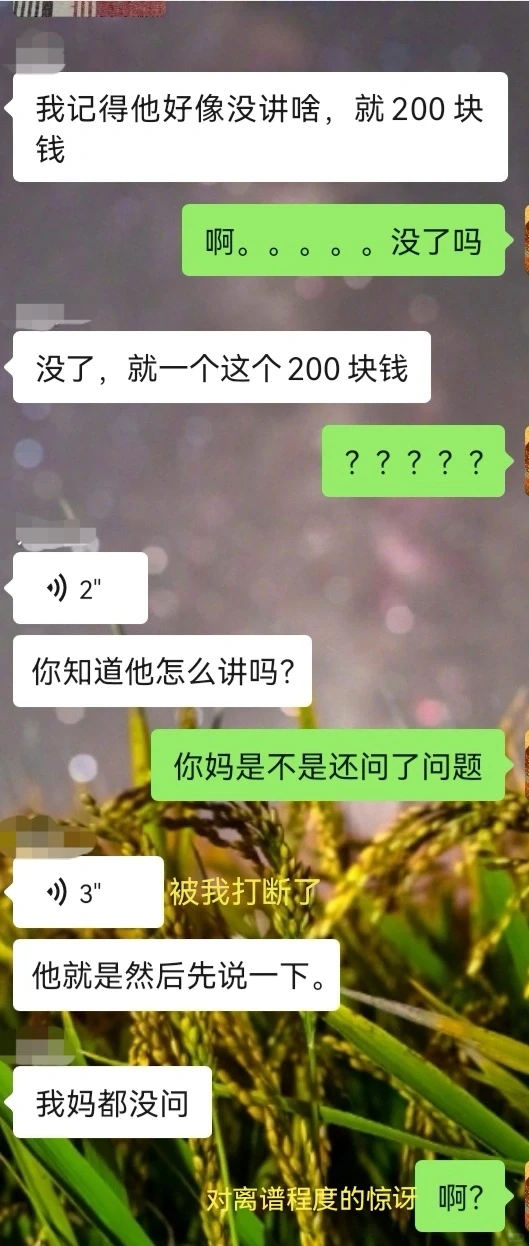 邯郸算命，麻了😅