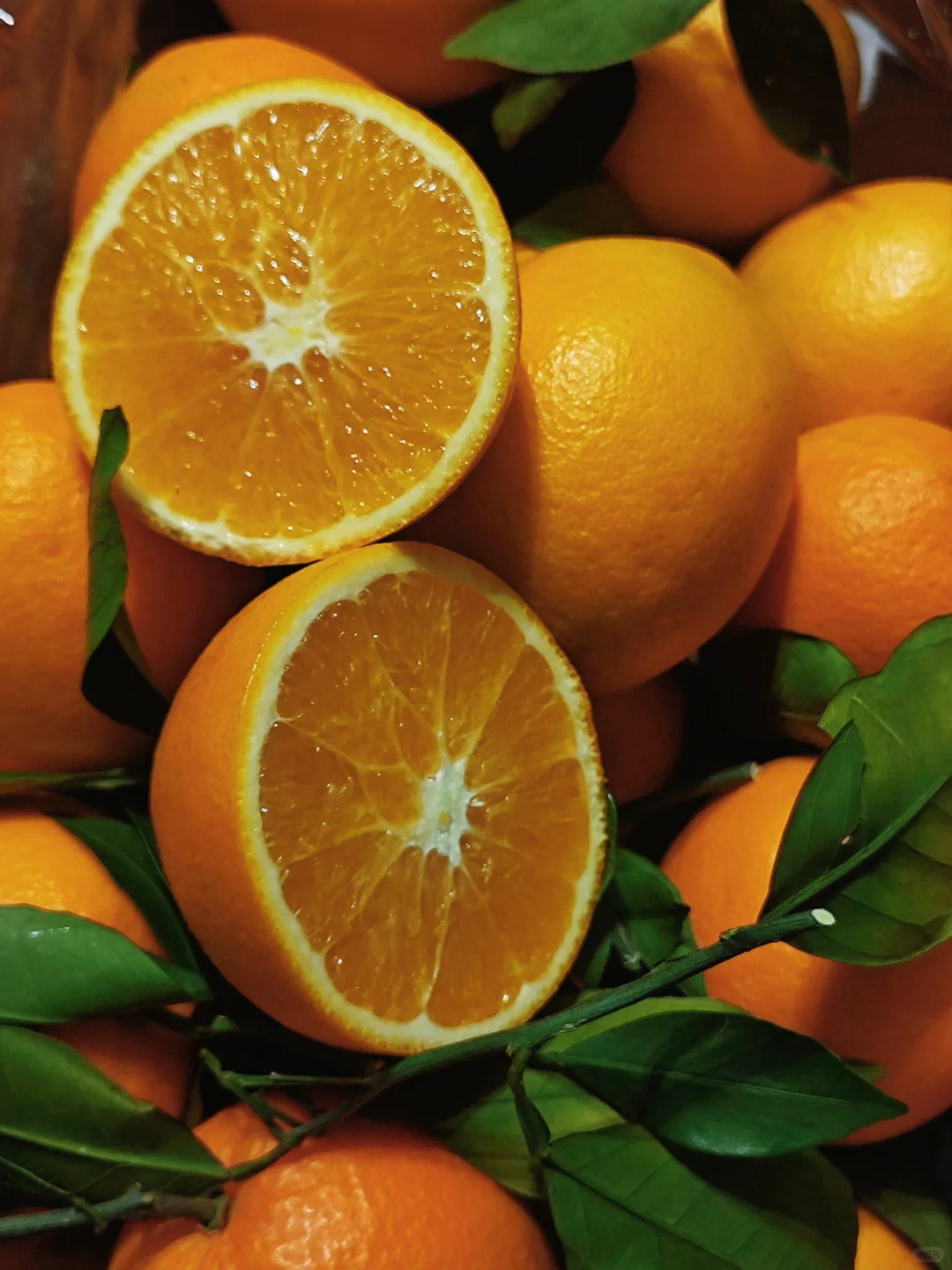 仅限石家庄！超喜欢在冷冷的冬天吃橙子🍊