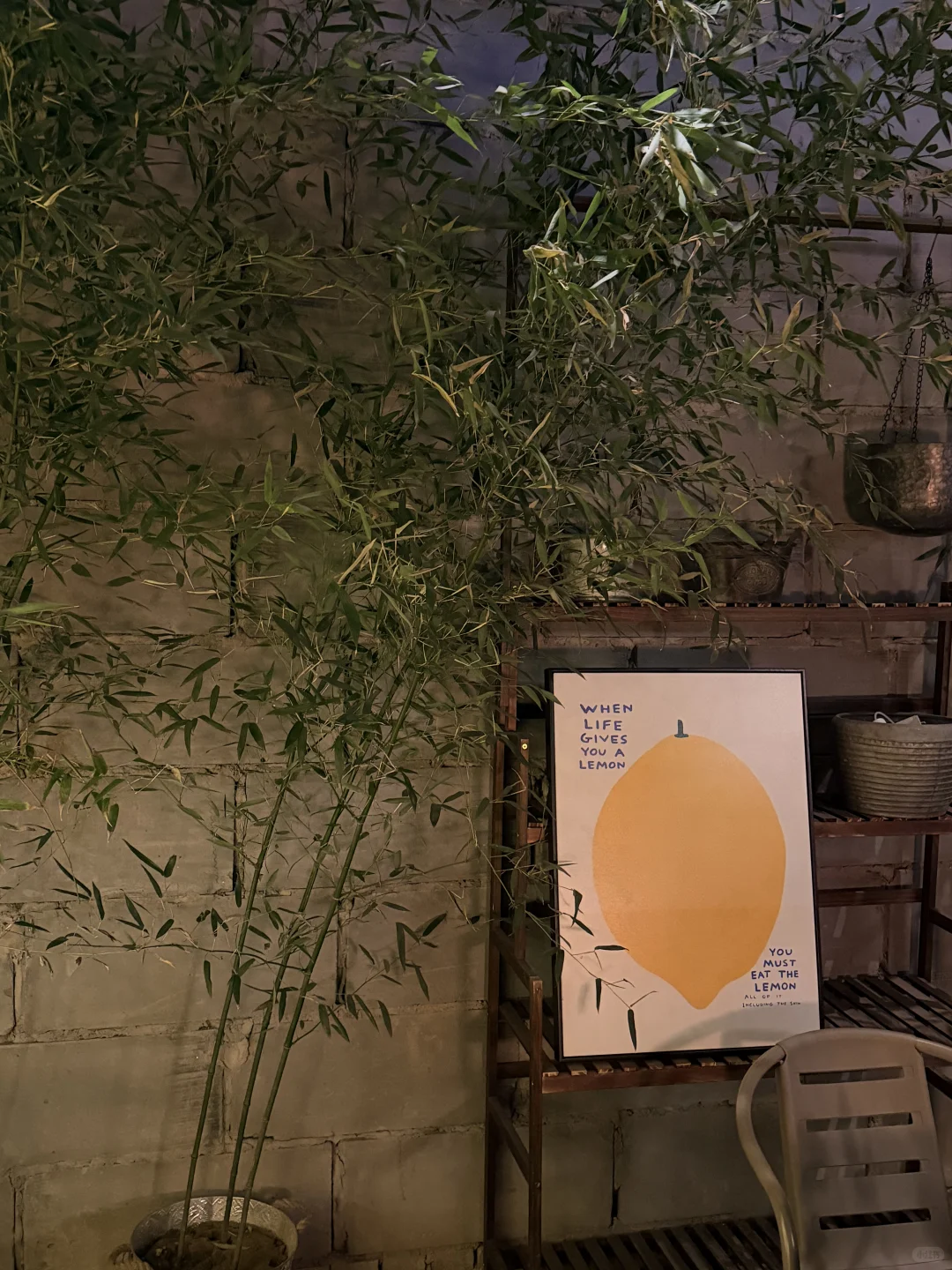 石家庄氛围感酒馆！！！🍻