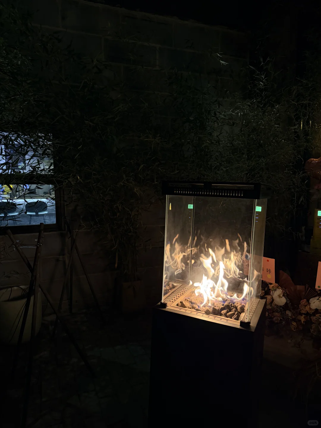 石家庄氛围感酒馆！！！🍻