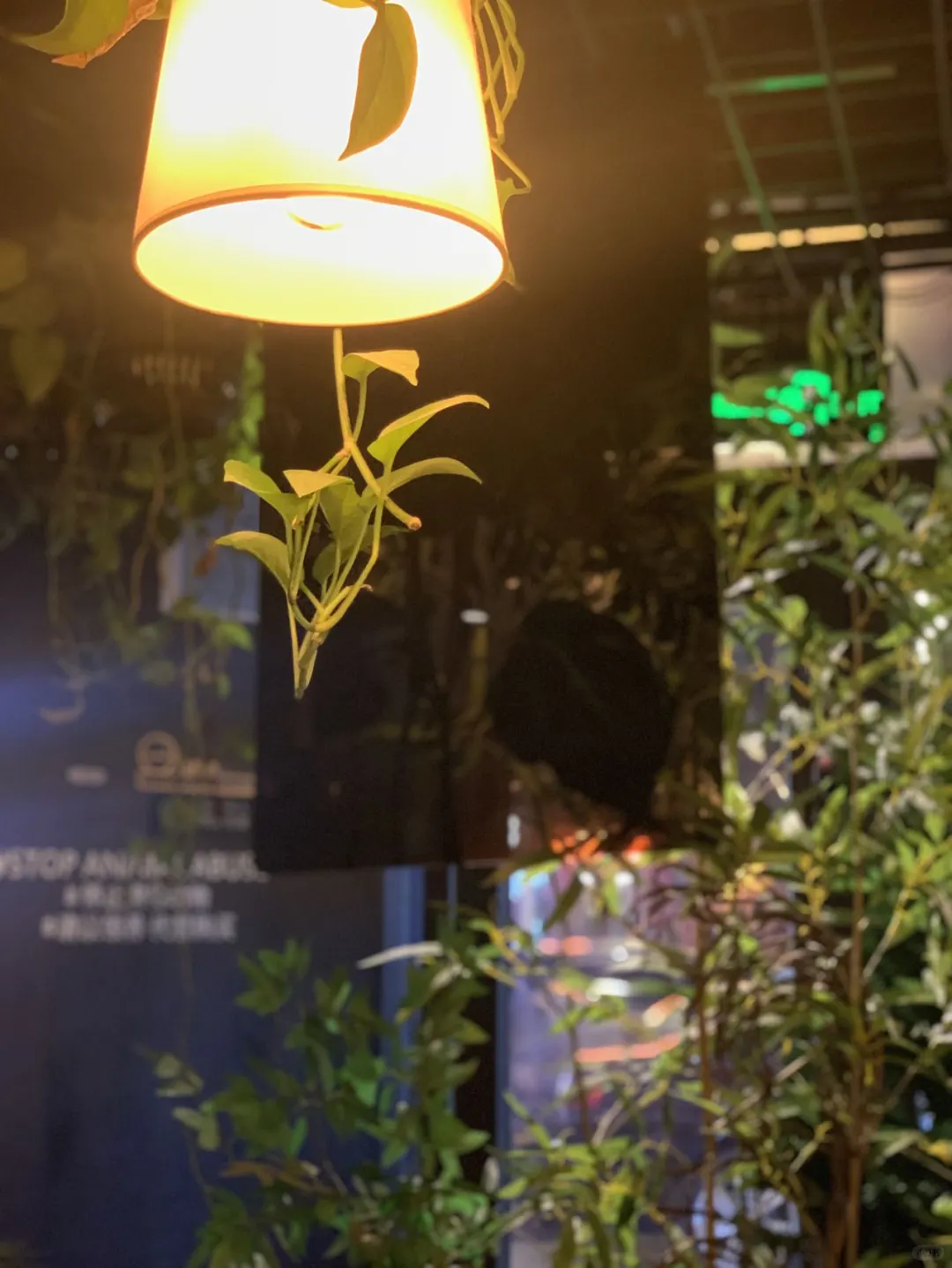 在石家庄的夜晚 寻找一处独特的微醺之地