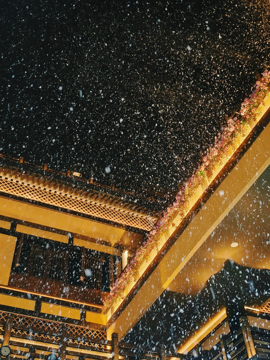 来自邯郸的浪漫