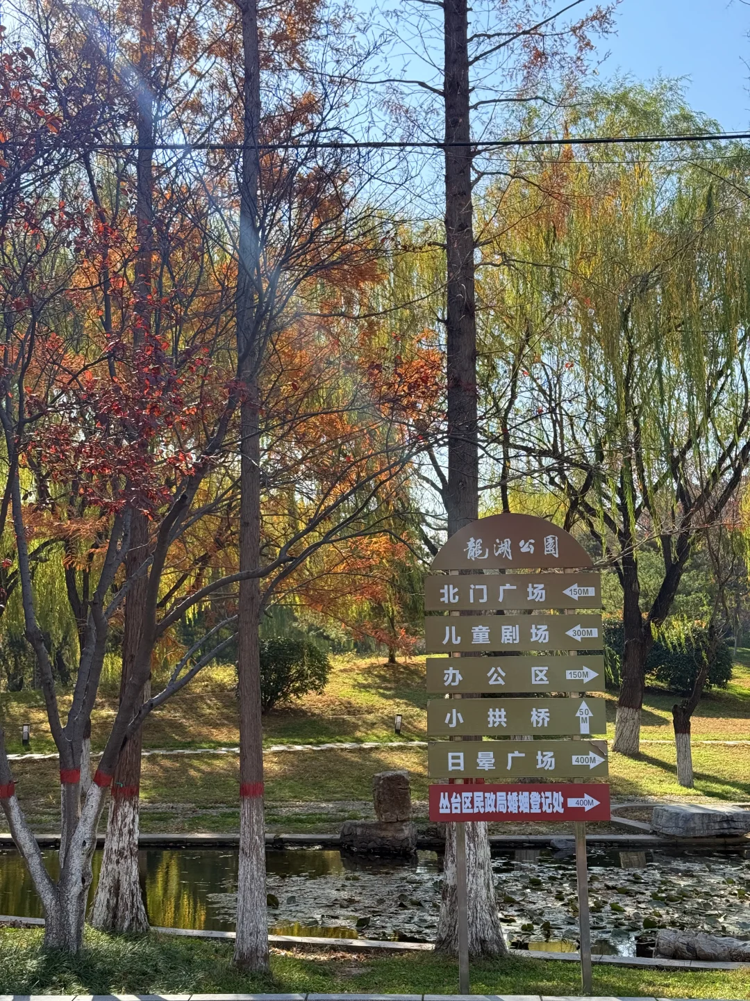 📍邯郸 . 龙湖公园