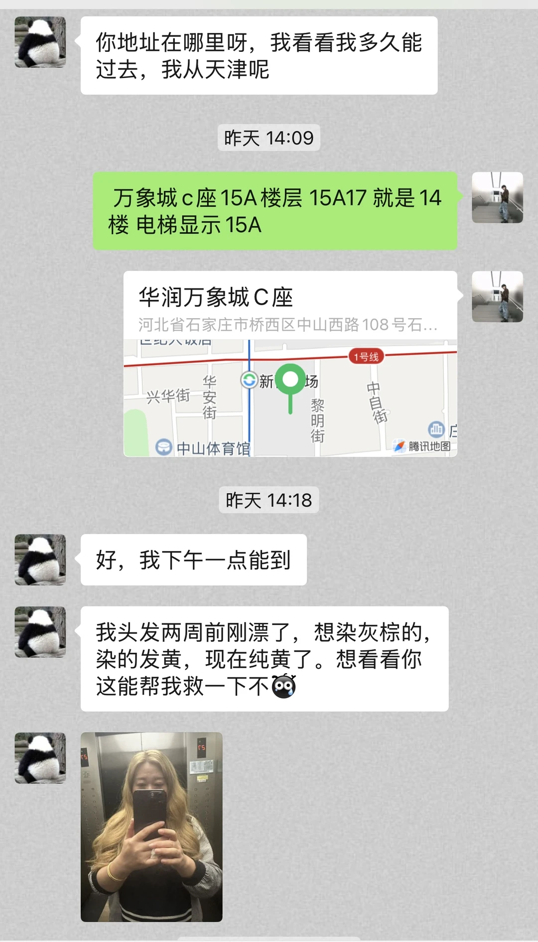 为了染发 专门从天津去了石家庄