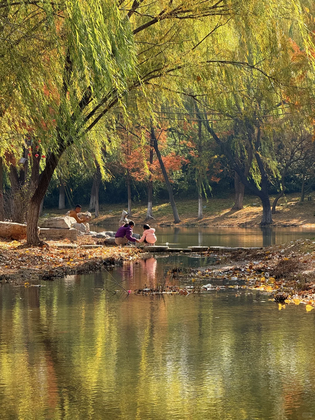 📍邯郸 . 龙湖公园