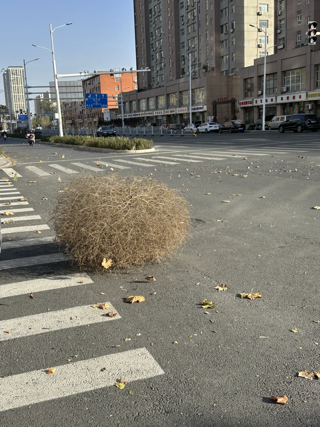 不是！石家庄这啥啊？？