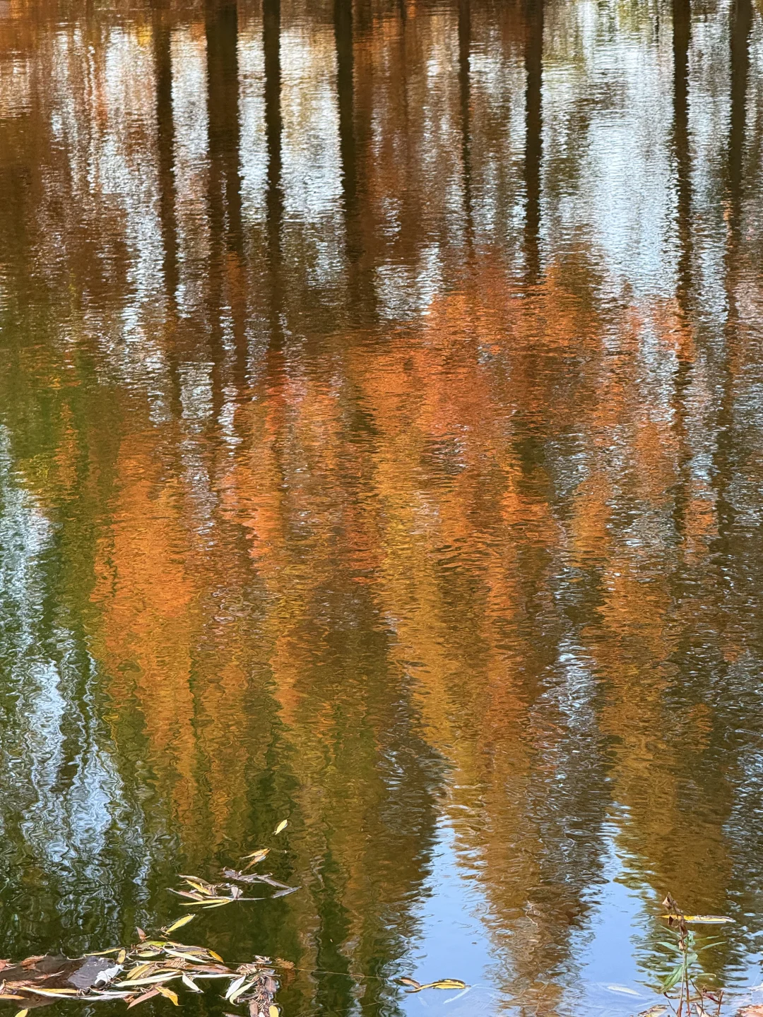 📍邯郸 . 龙湖公园
