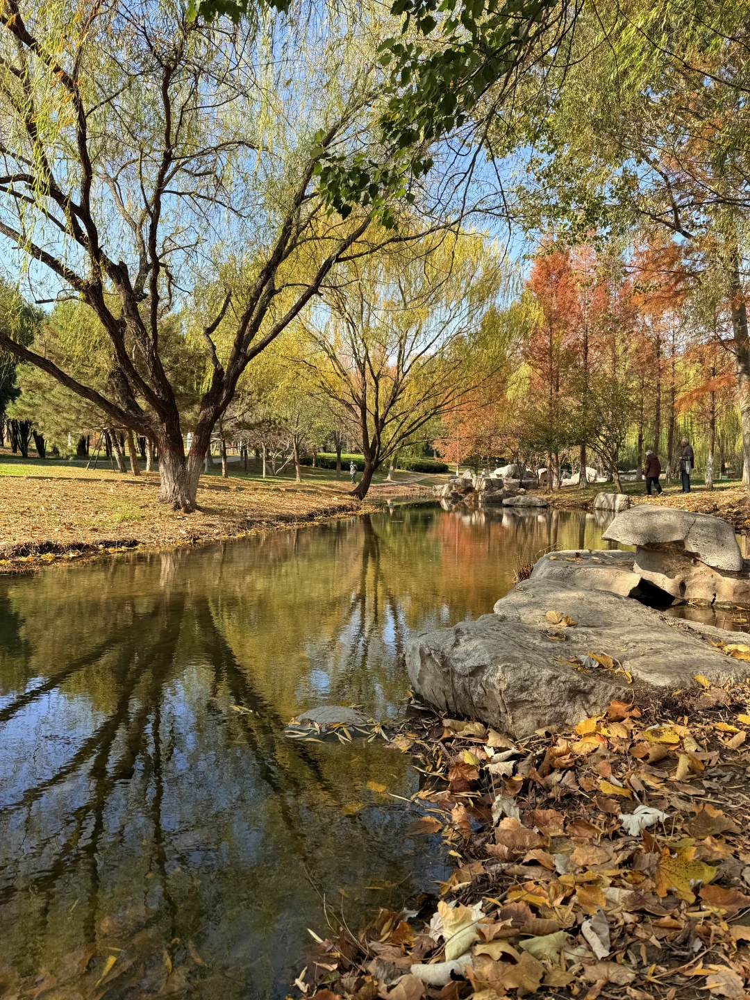 📍邯郸 . 龙湖公园