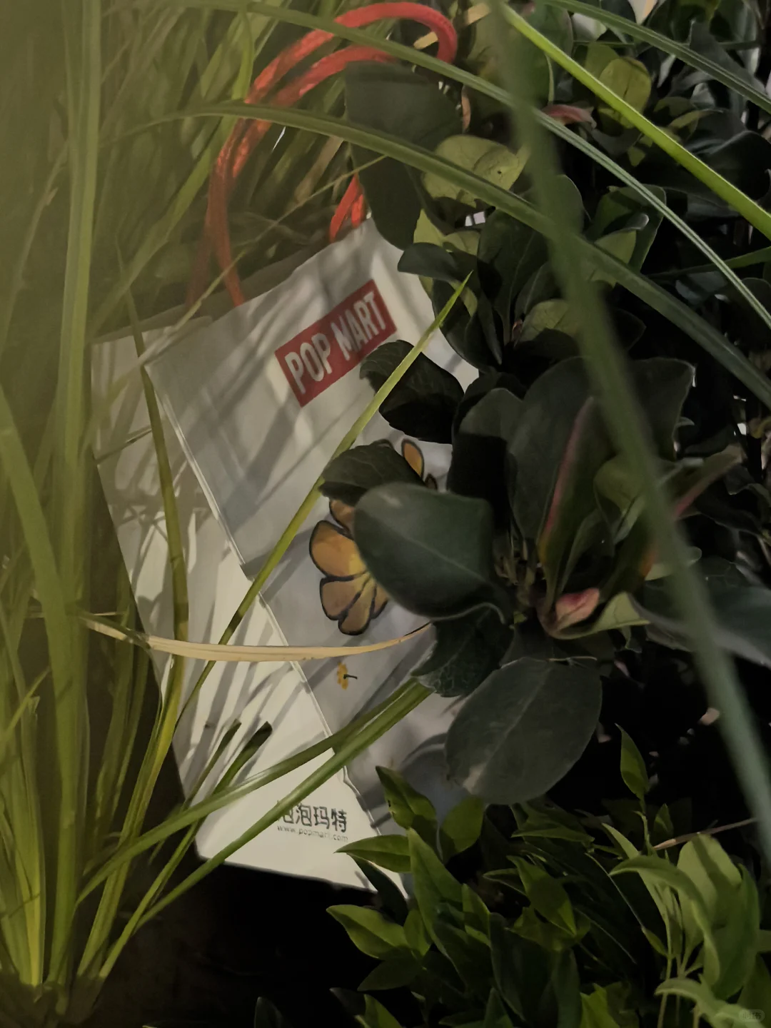 邯郸寻宝自取 | 新世纪