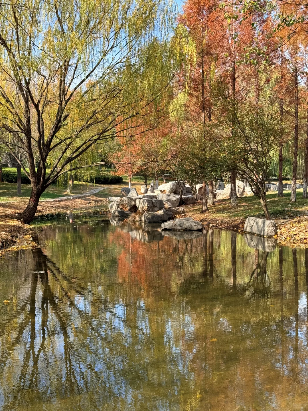 📍邯郸 . 龙湖公园