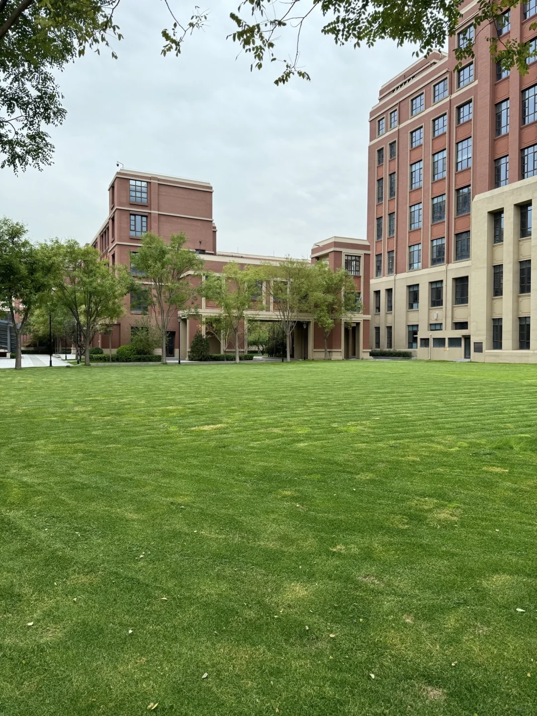 感谢石家庄！买到学区dream house！