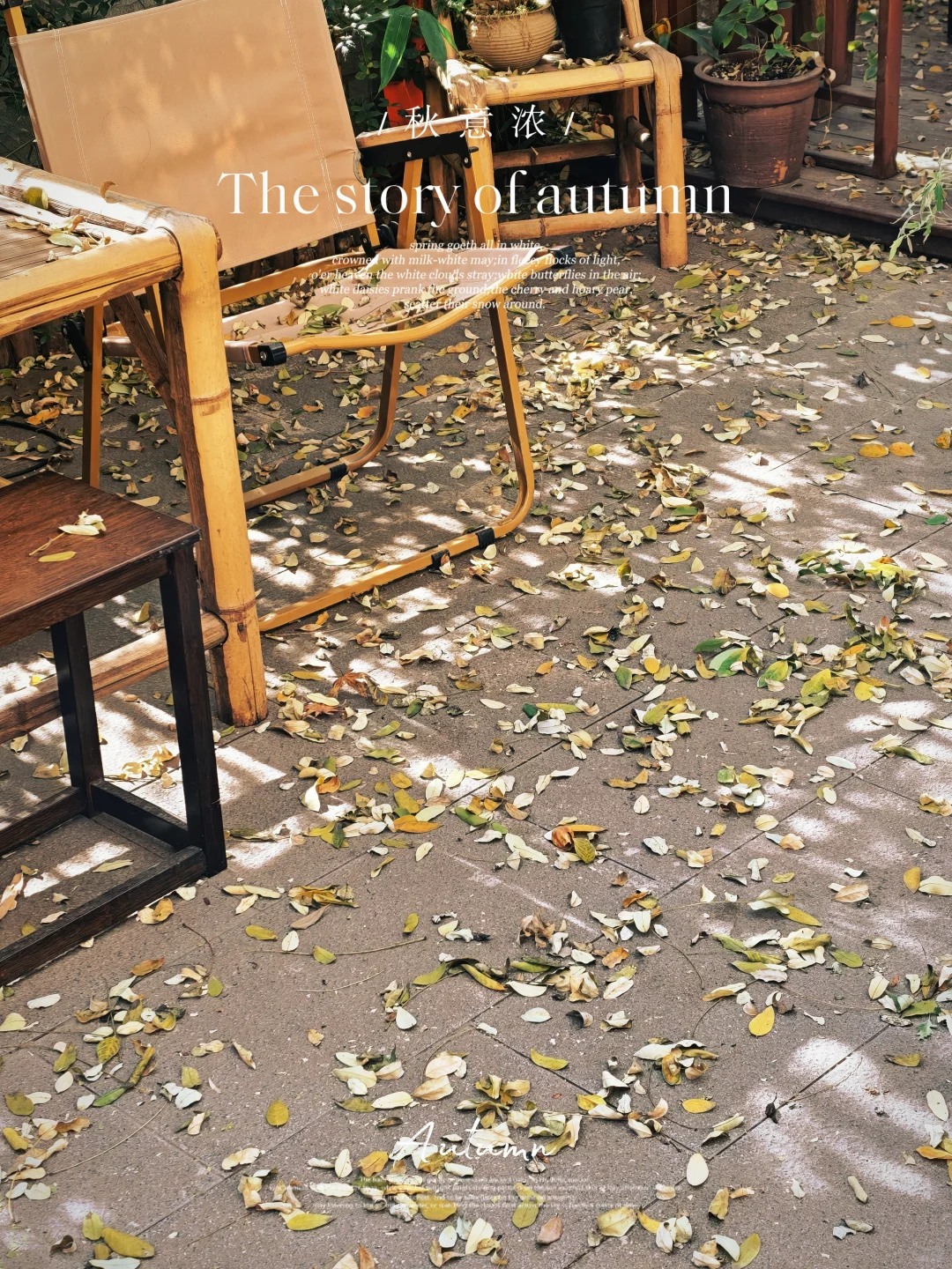 石家庄｜这家店的氛围感真的绝了