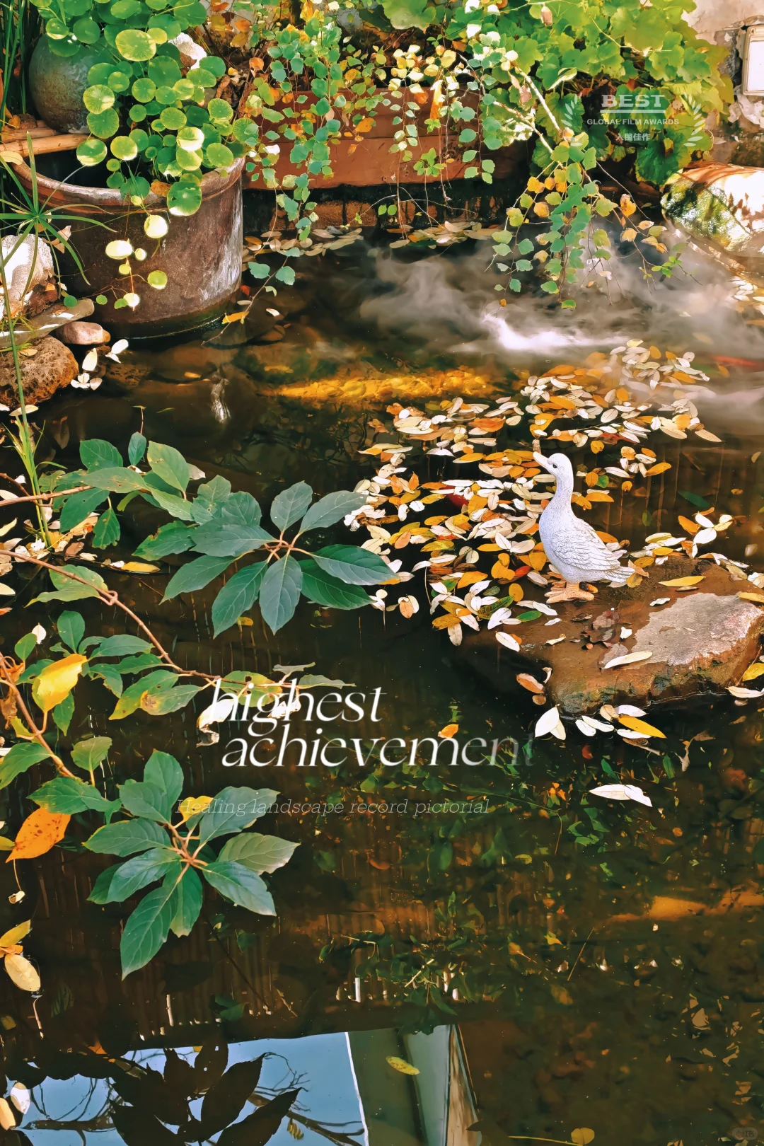 石家庄｜这家店的氛围感真的绝了