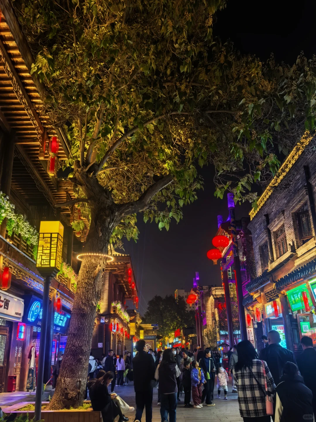 📍邯郸｜来邯郸学走路了