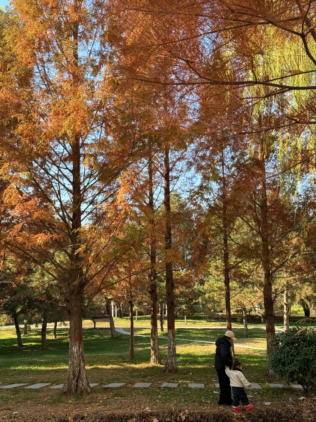 📍邯郸 . 龙湖公园