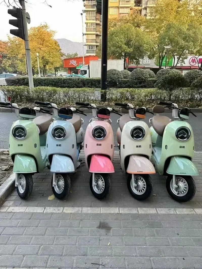 邯郸出行新选择!哈啰电动车租赁带你畅游古