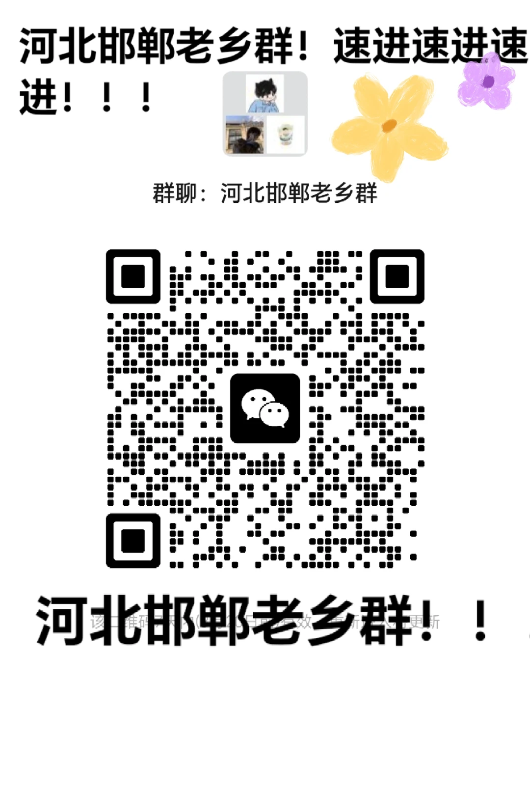 河北邯郸老乡群！！！