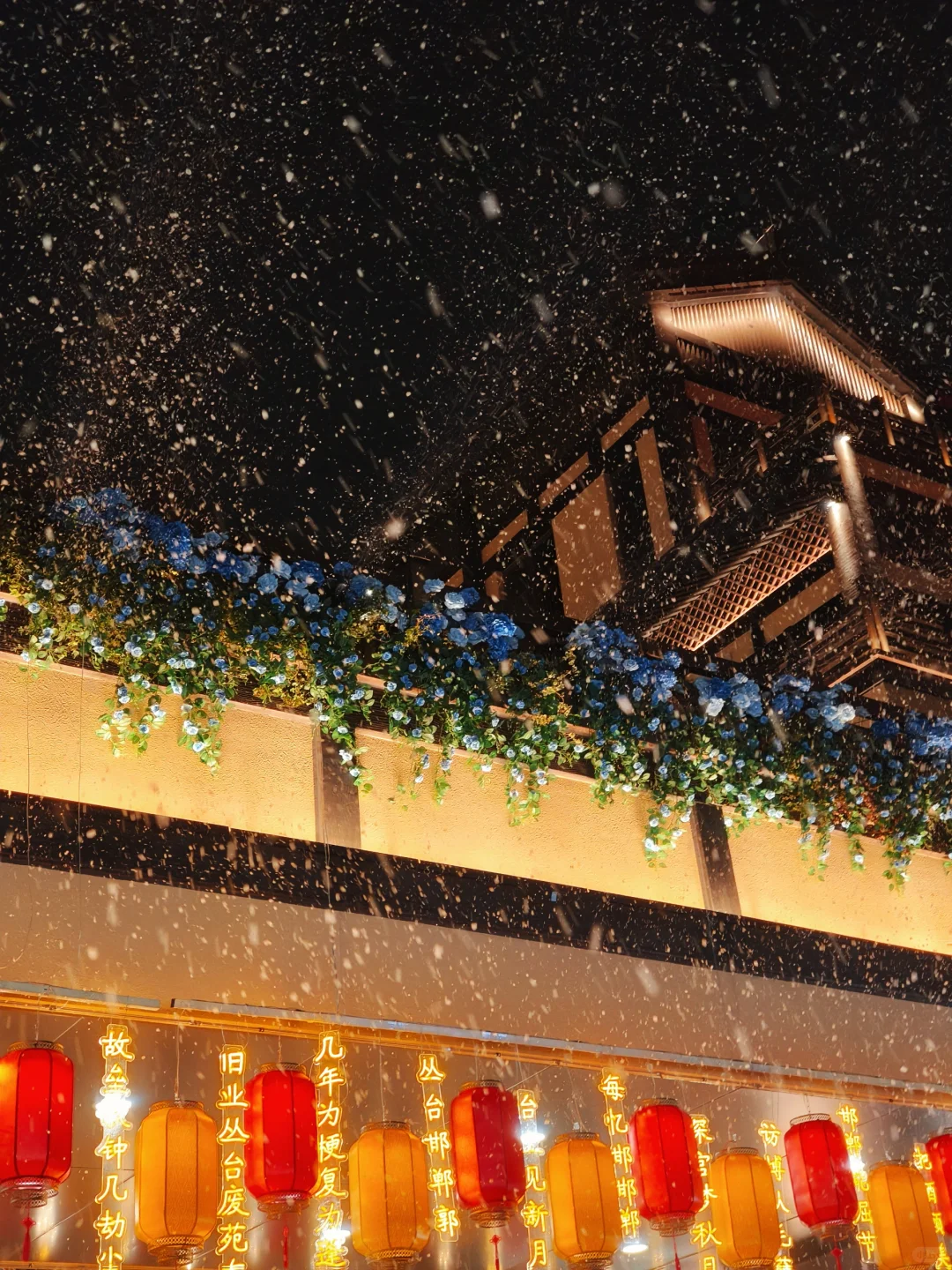 来自邯郸的浪漫