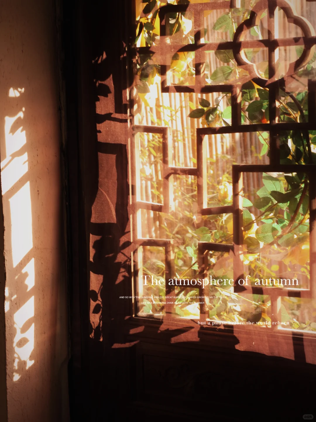 石家庄｜这家店的氛围感真的绝了