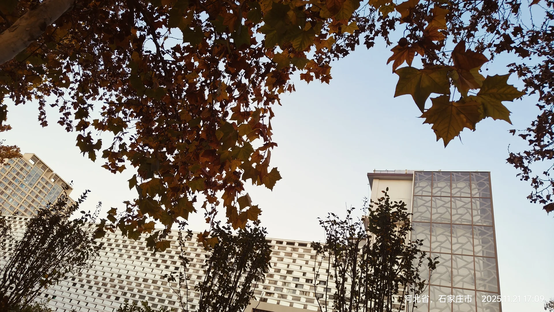 石家庄12🈷️4日穿衣指数出行指南