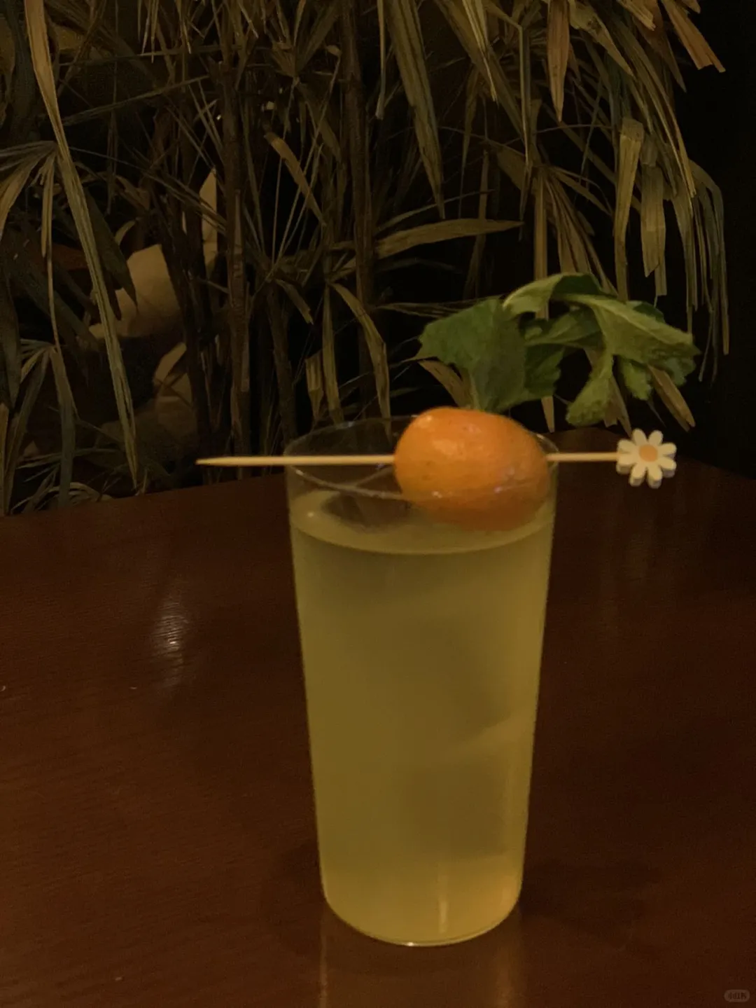 在石家庄的夜晚 寻找一处独特的微醺之地