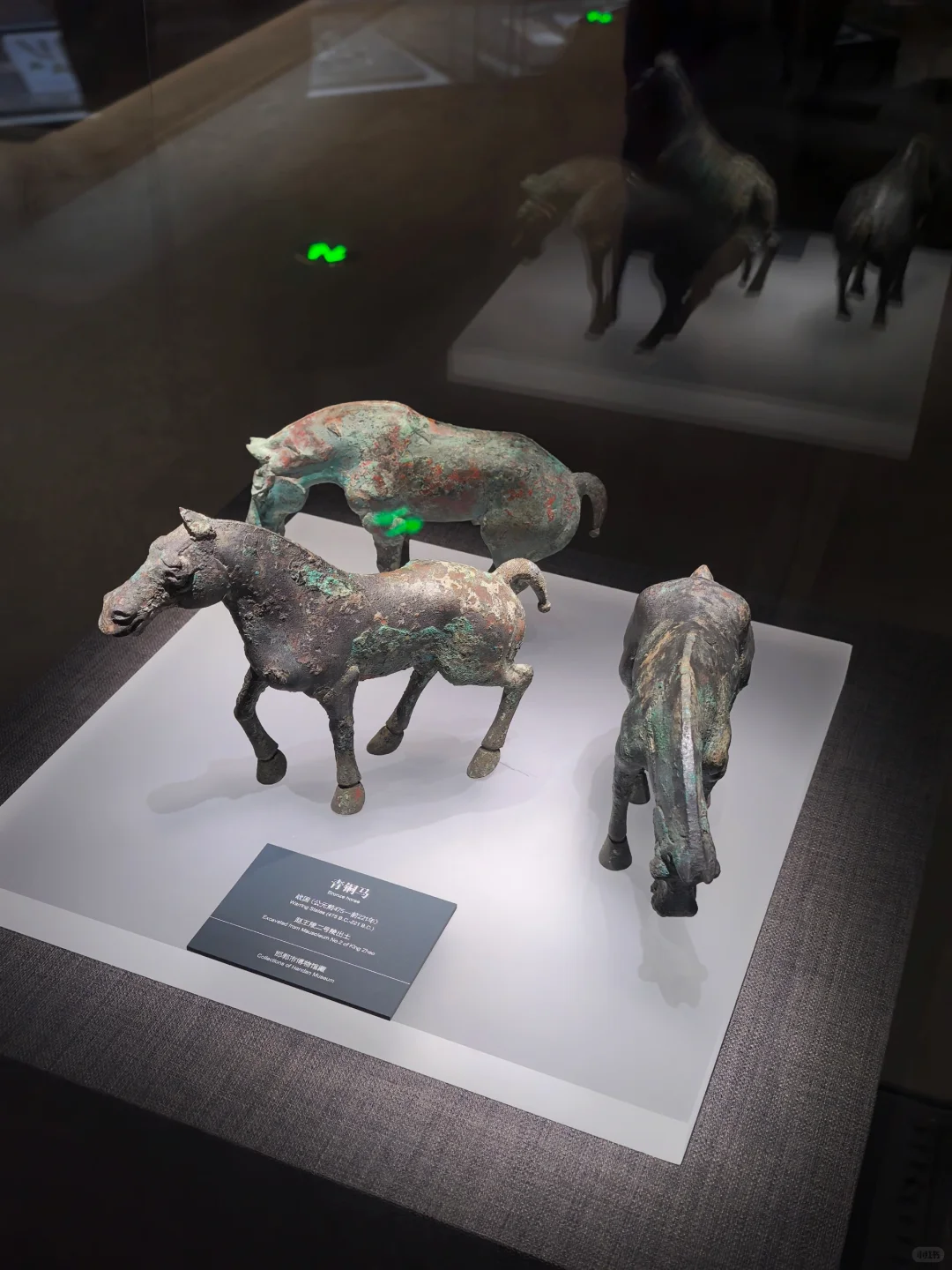 📍邯郸｜来邯郸学走路了