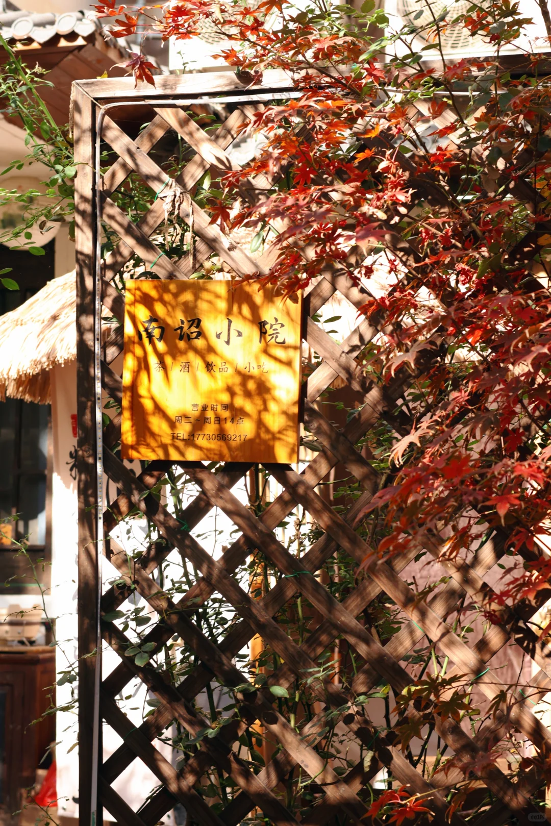 石家庄｜这家店的氛围感真的绝了