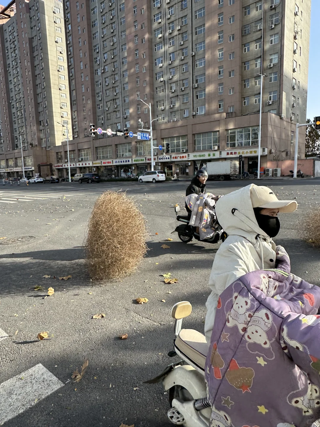 石家庄今天的风…………🥲🥲