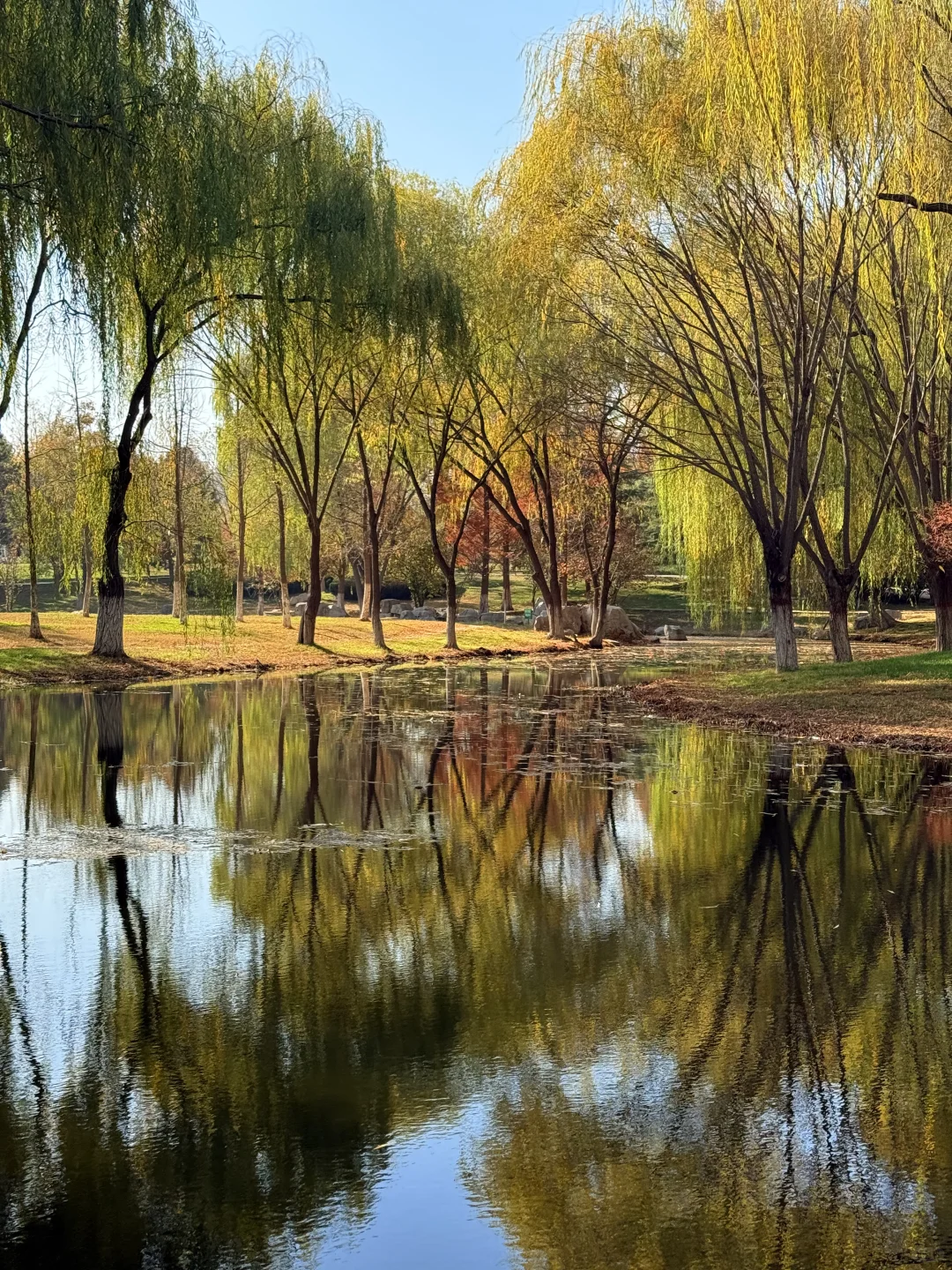 📍邯郸 . 龙湖公园