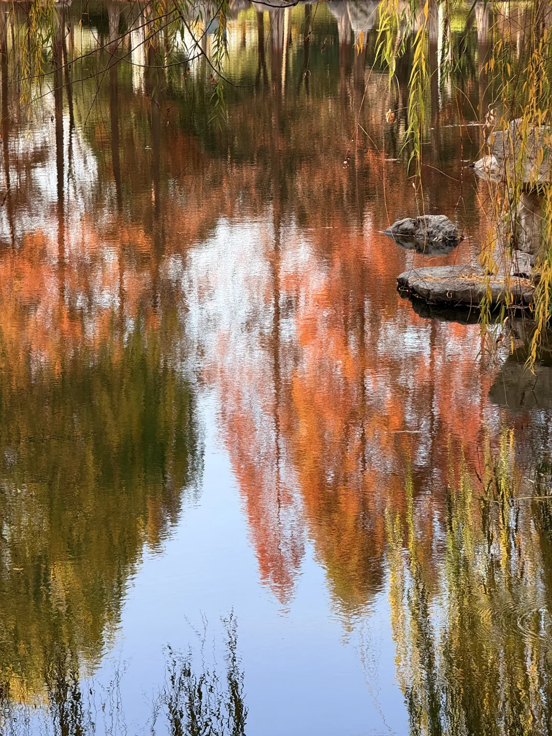 📍邯郸 . 龙湖公园