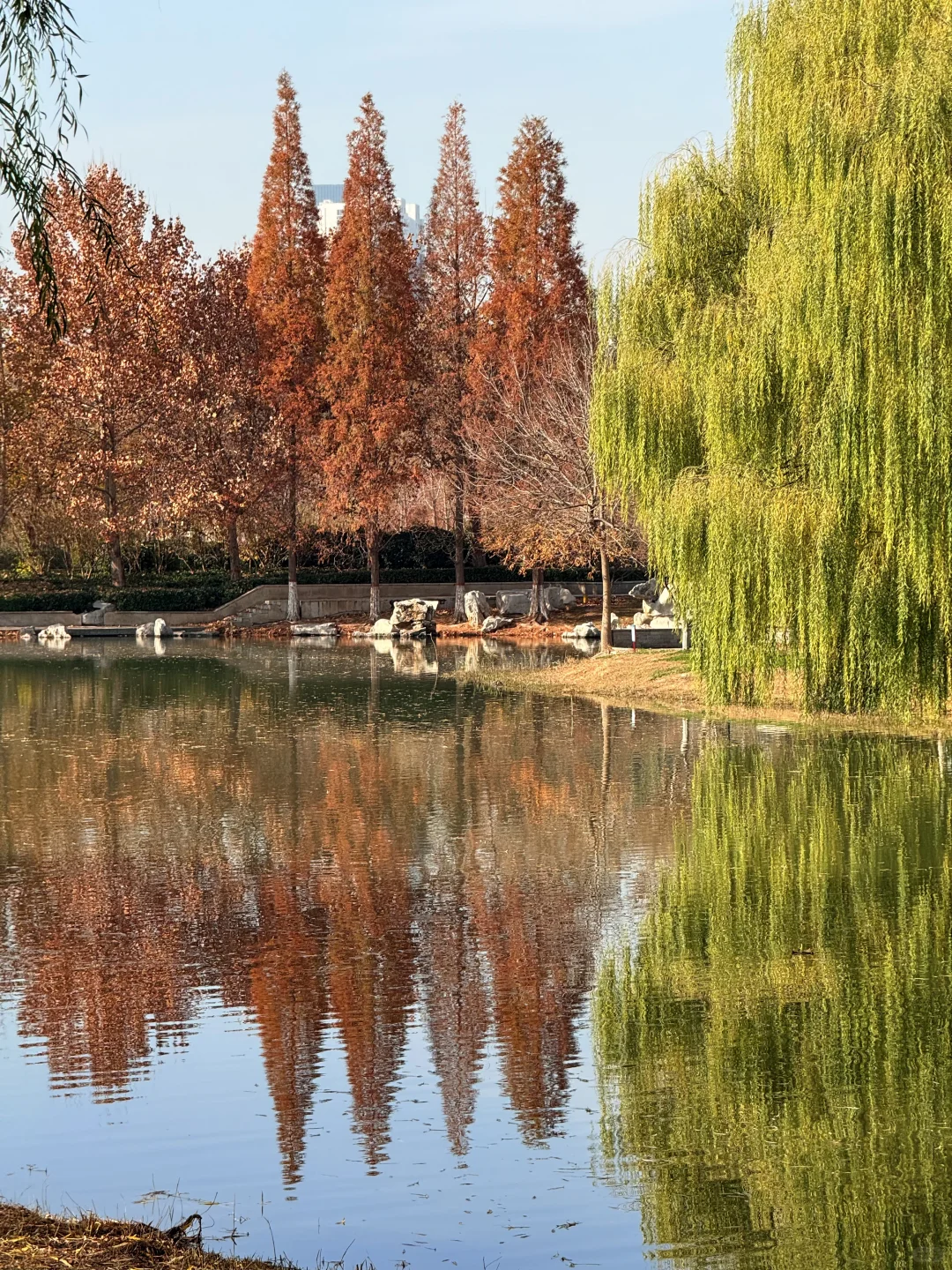 📍邯郸 . 龙湖公园
