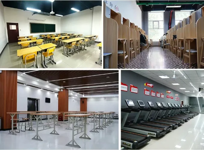 石家庄成达高三全日制校区地址