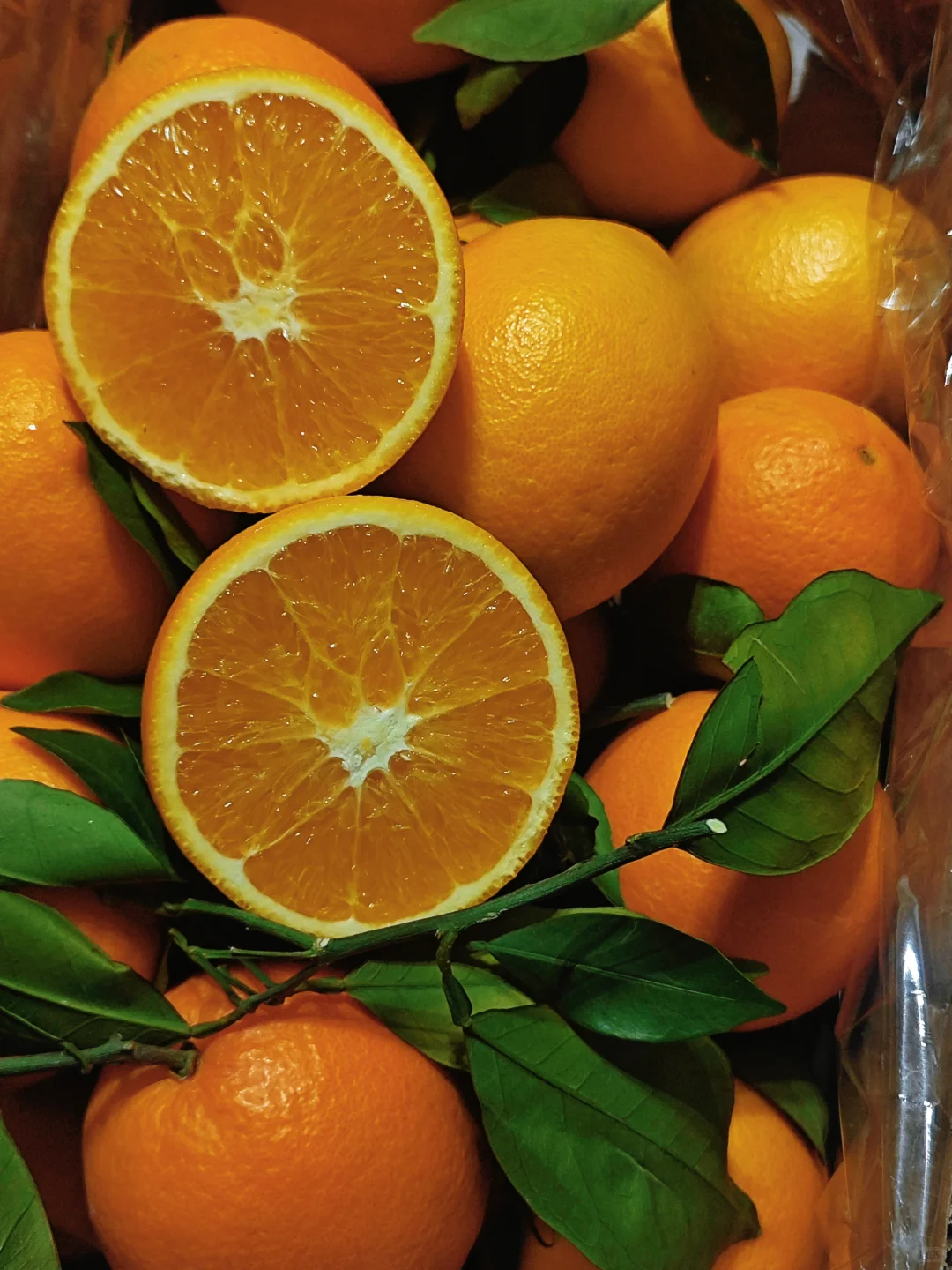 仅限石家庄！超喜欢在冷冷的冬天吃橙子🍊