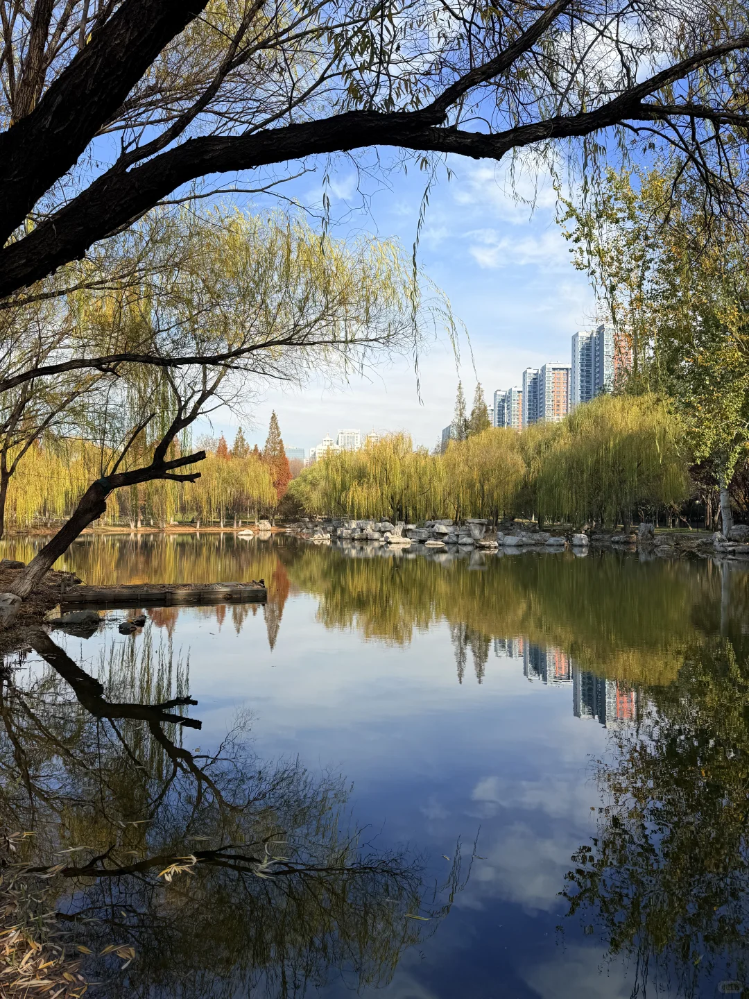 📍邯郸 . 龙湖公园