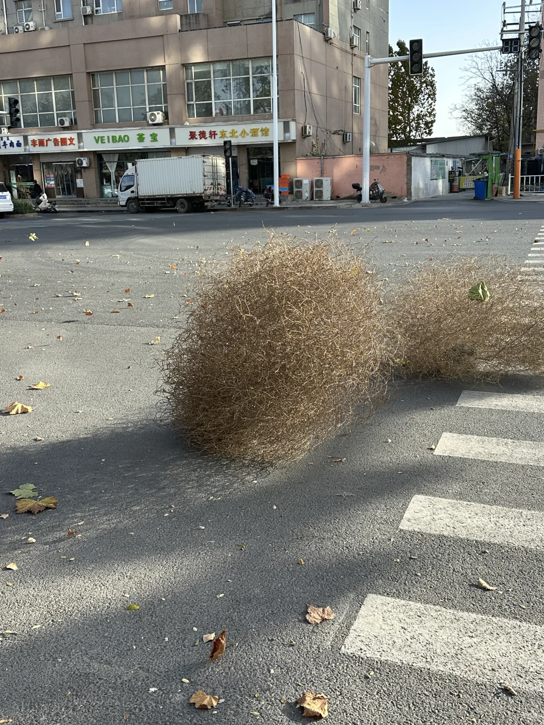 不是！石家庄这啥啊？？