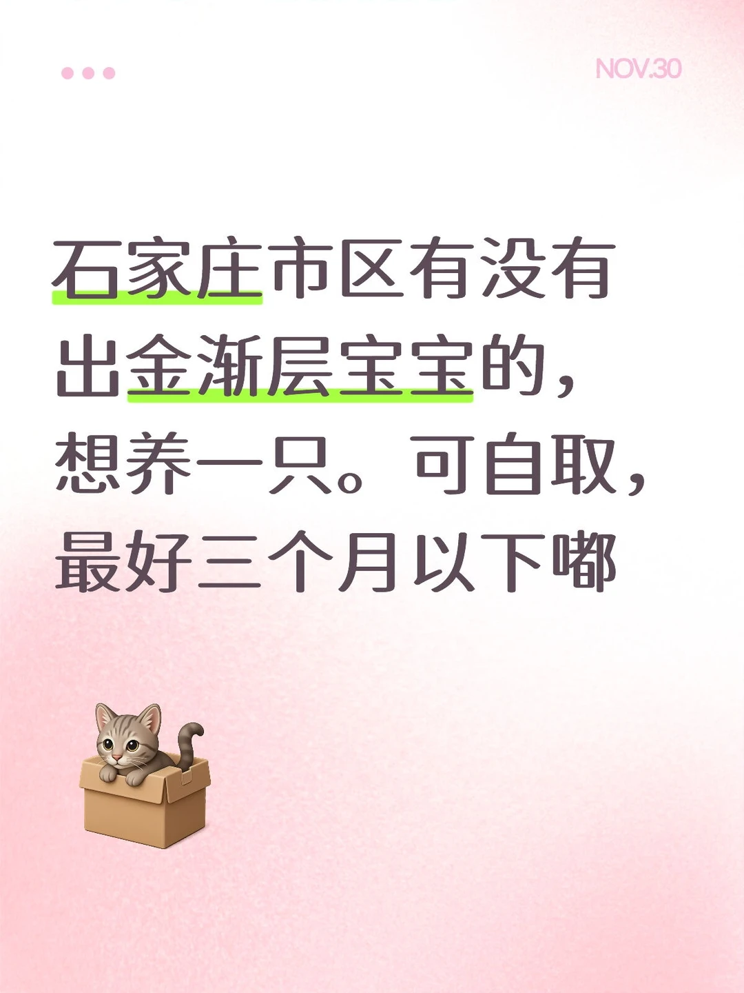 石家庄金渐层求购