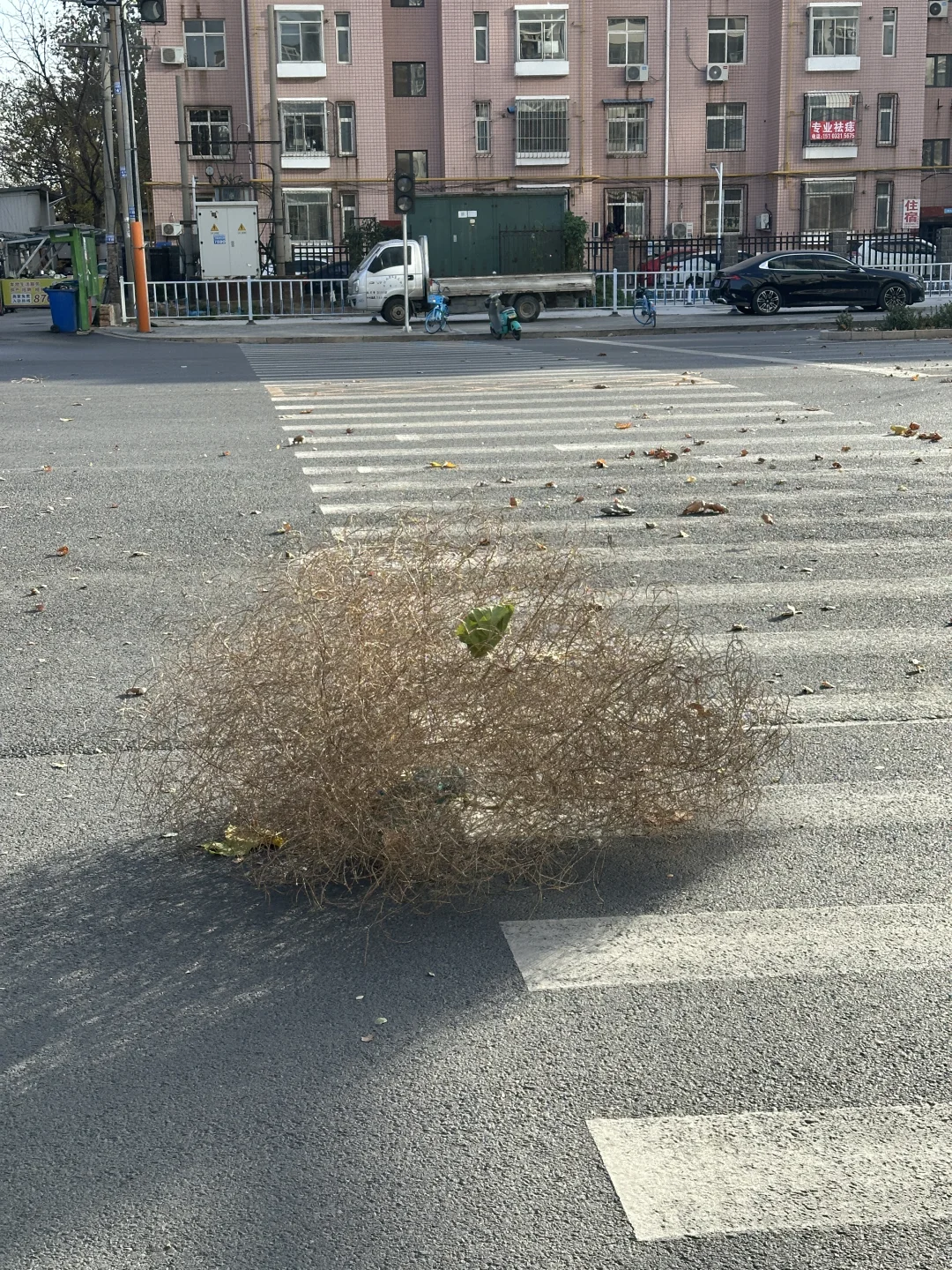 不是！石家庄这啥啊？？