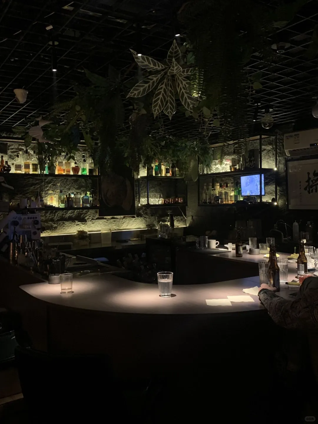 在石家庄的夜晚 寻找一处独特的微醺之地