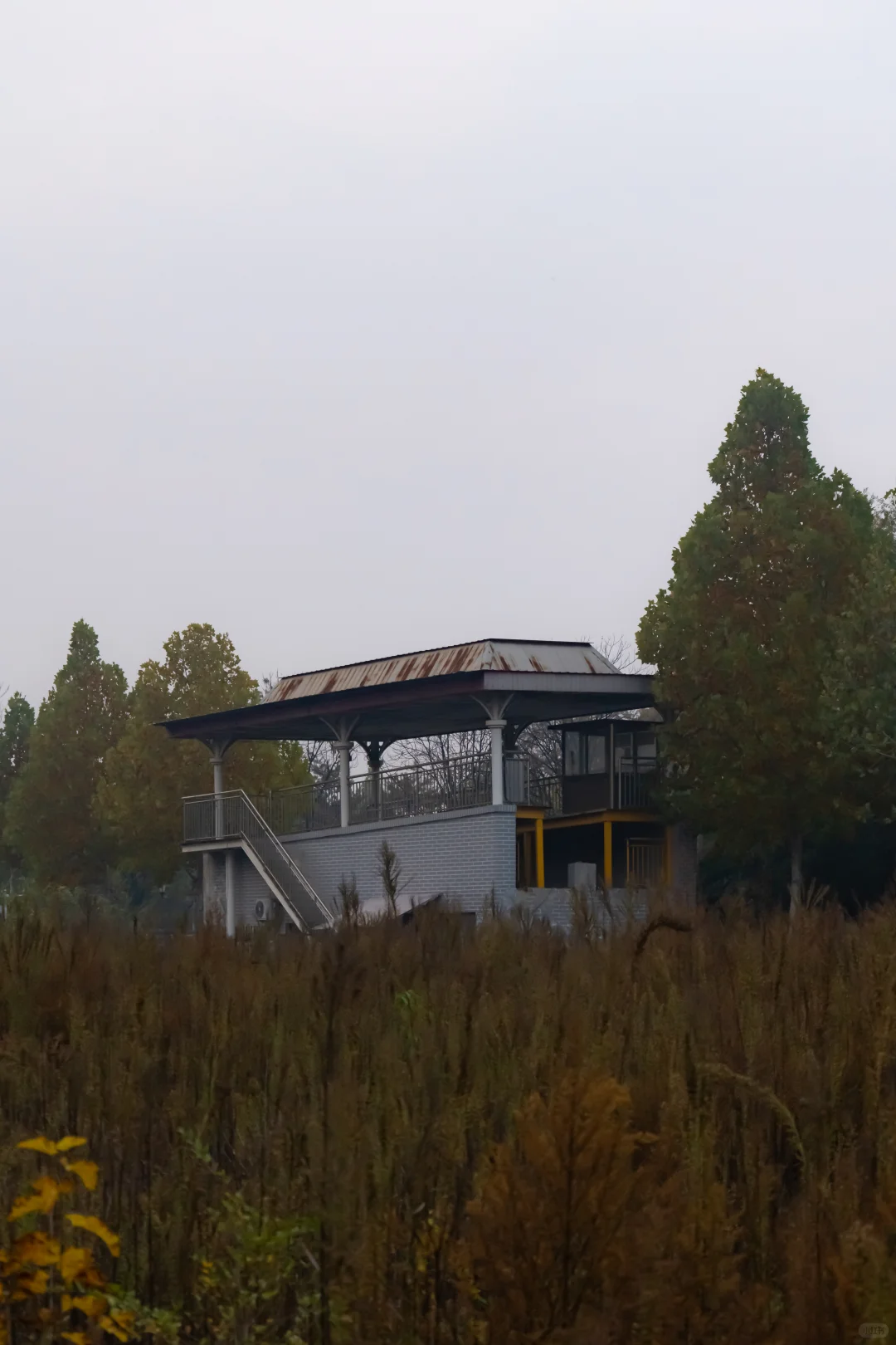 我刚知道...原来邢襄生态园就是森林公园