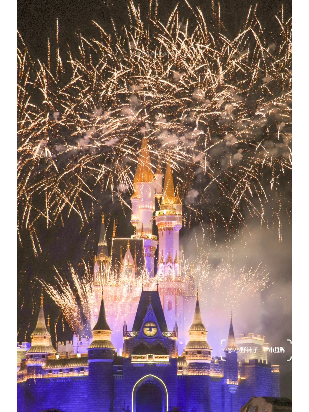 邢台到泉城| 不亏❗️迪士尼泉城分尼体验❗️