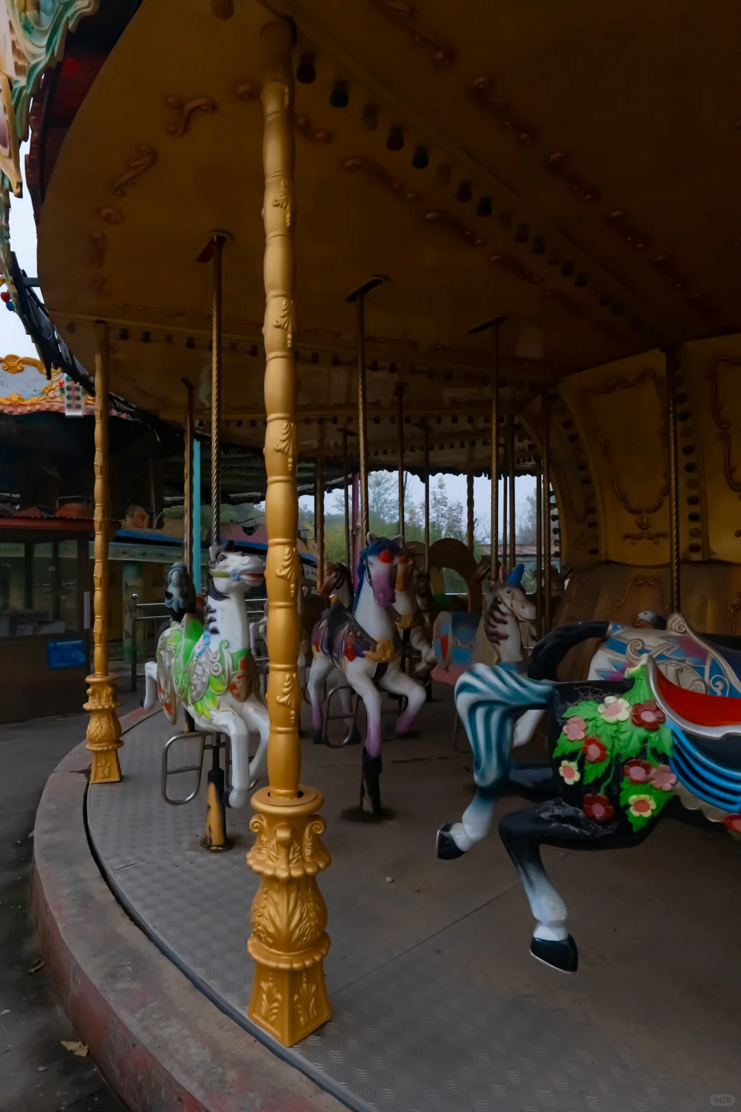 我刚知道...原来邢襄生态园就是森林公园