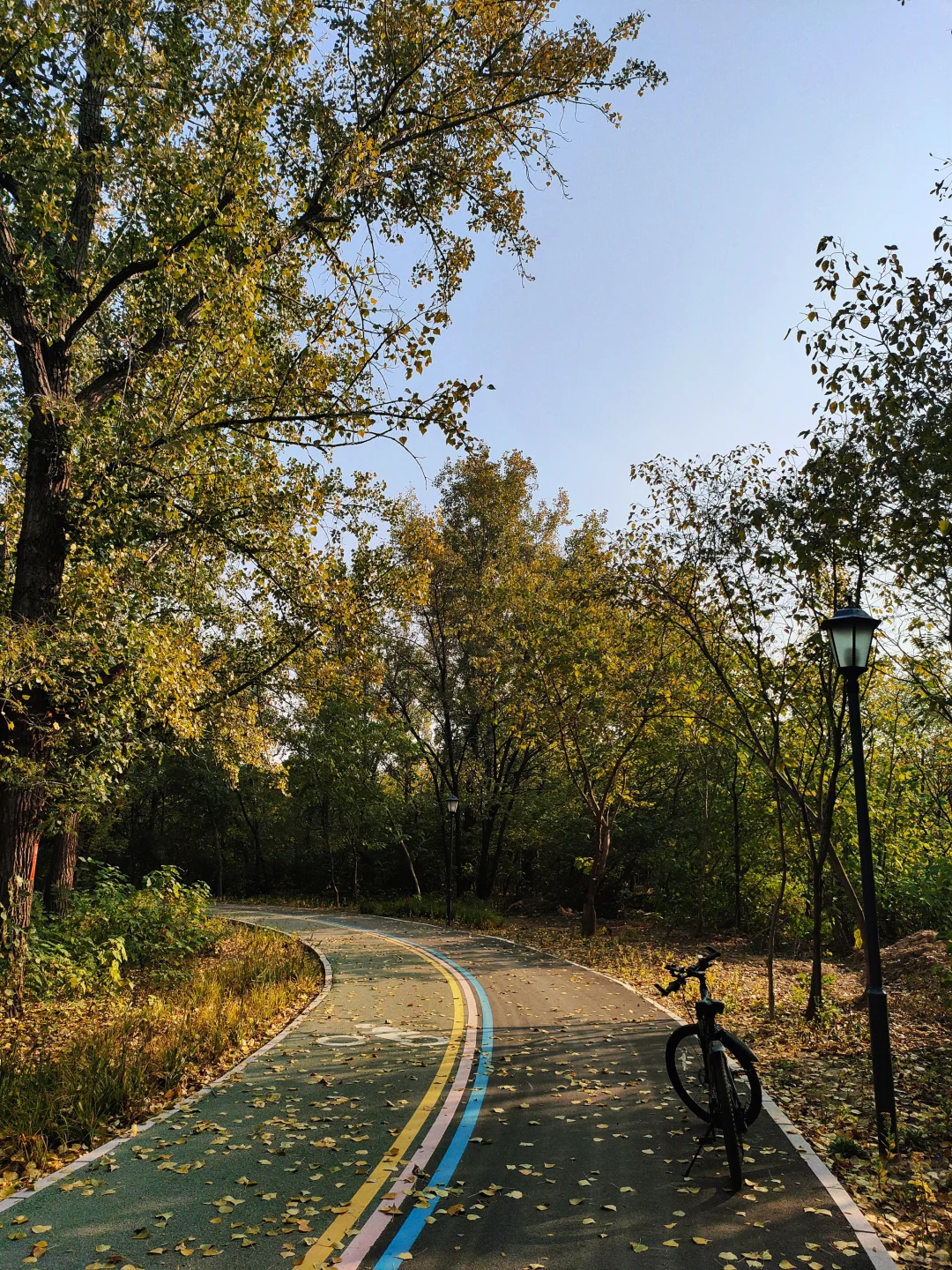 邢台｜这个不花钱的公园也太好拍了！